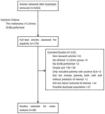 Predictive Values of Pathological and Clinical Risk Factors for Positivity of Sentinel Lymph Node Biopsy in Thin Melanoma: A Systematic Review and Meta-Analysis